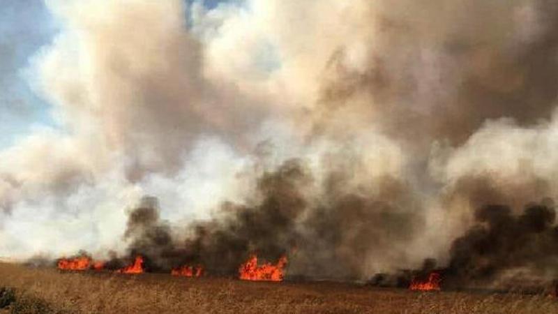 Gaziantep Nurdağı'nda 35 dönüm ekili buğday yandı