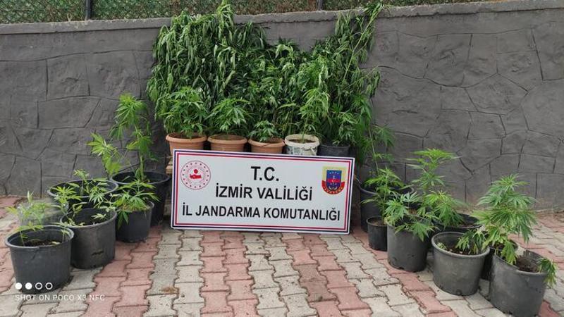 İzmir'de uyuşturucu tacirlerine operasyonda 11 gözaltı