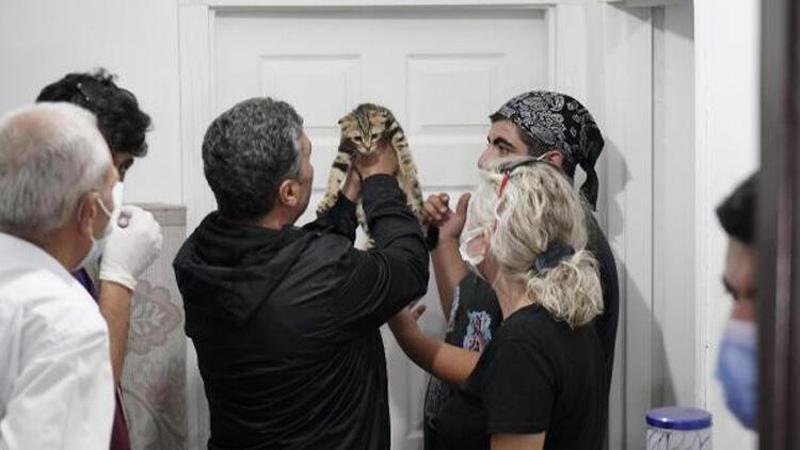'Hayvan üretimevi'ne baskın; 21 hayvana el koyuldu
