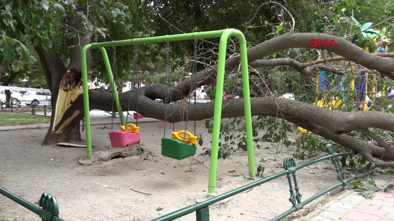 Çocuk parkındaki dut ağacı salıncakların üzerine devrildi