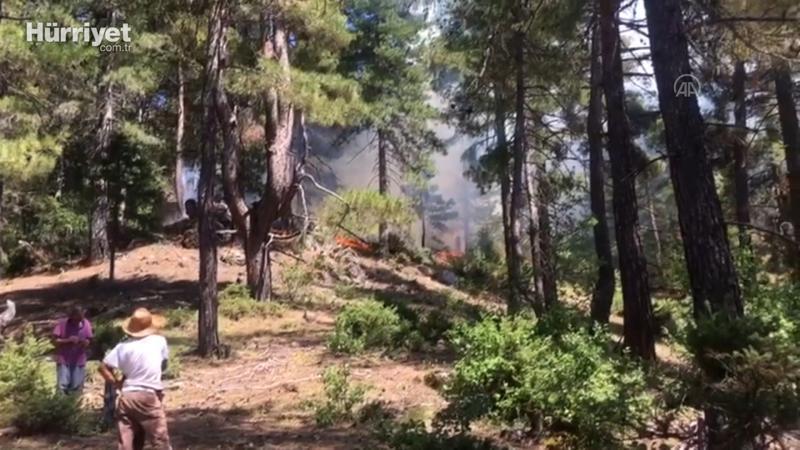 Kozan'da orman yangını