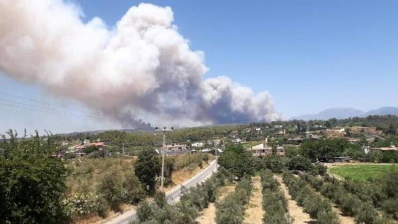 Manavgat'ta ormanlık alanda yangın