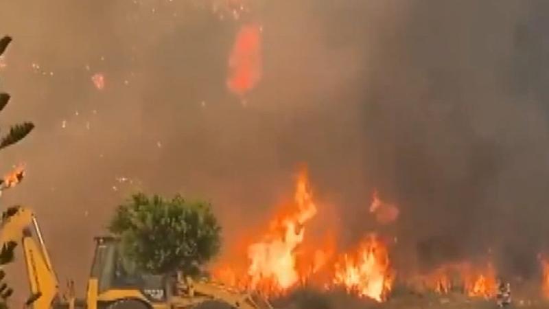 Massive forest fire engulfs Mediterranean district