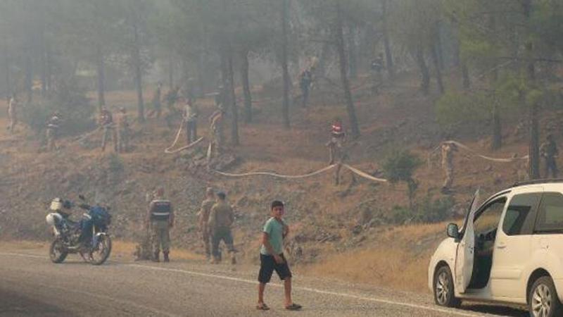 Kilis'te orman yangını! Askerler bölgeye geldi
