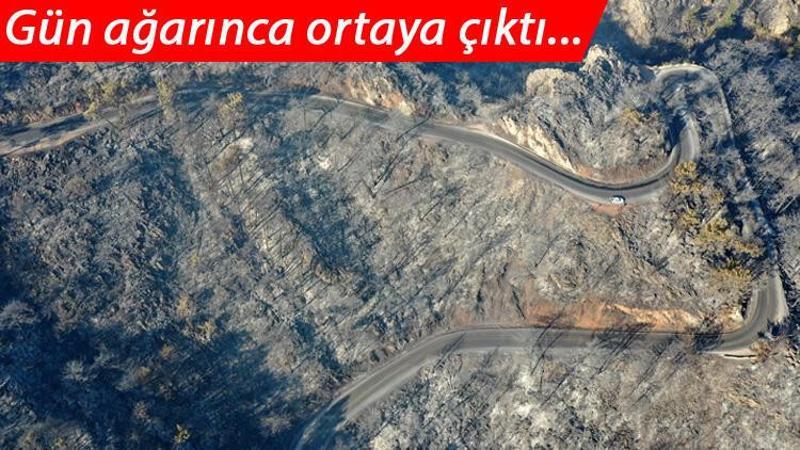 Marmaris'teki yangın bölgesinden canlı yayın