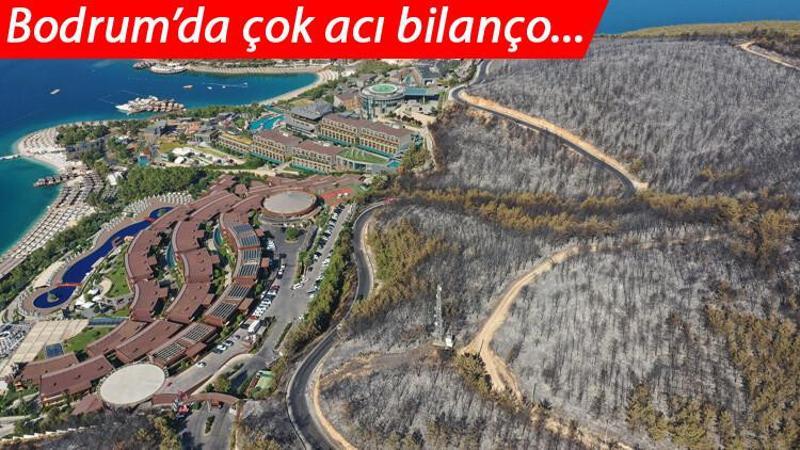 Milas'taki yangında zarar gören 80 hektarlık ormanlık alan havadan görüntülendi