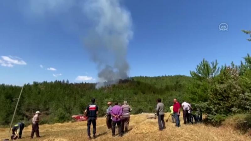 Kastamonu Taşköprü'de orman yangını