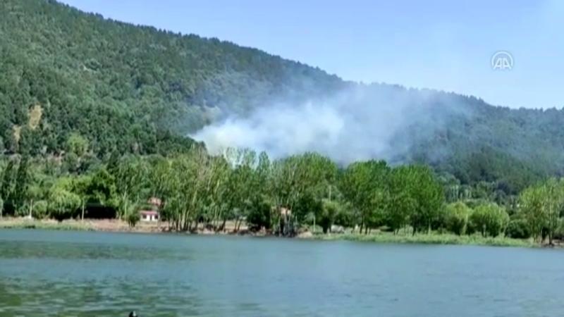 İzmir Ödemiş'te orman yangını çıktı