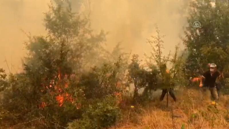 Antalya Gündoğmuş'taki orman yangını Alanya'ya sıçradı