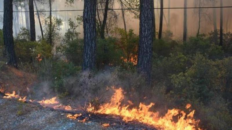 Marmaris-Datça Karayolu orman yangını nedeniyle ulaşıma kapatıldı