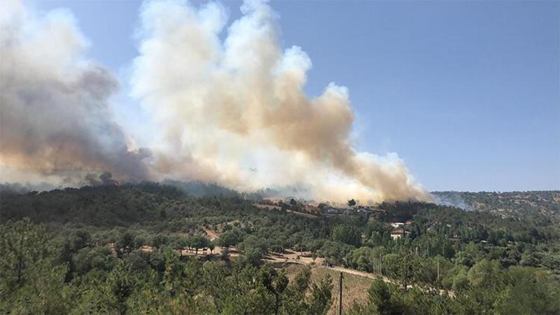 Uşak'ta orman yangınına müdahale ediliyor