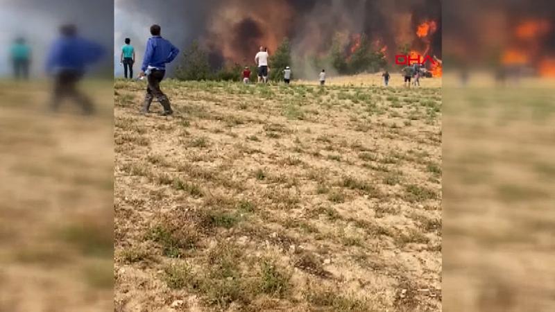 Buldan'daki orman yangınına vatandaşlar da müdahale ediyor