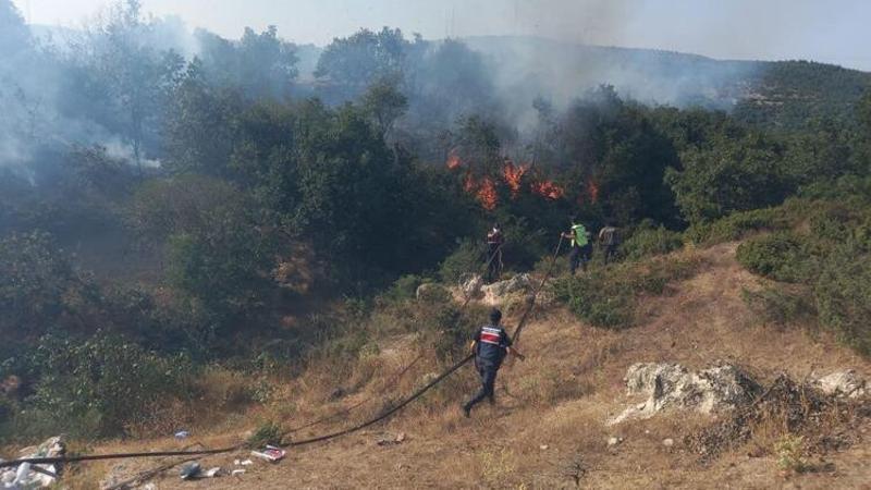 Balıkesir'de orman yangını