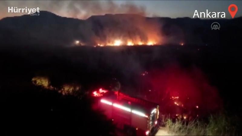 Ankara Nallıhan Kuş Cenneti’nde çıkan yangın kontrol altına alındı
