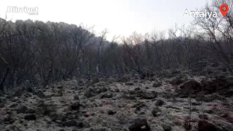 Antalya'nın Demre ilçesindeki orman yangını söndürüldü