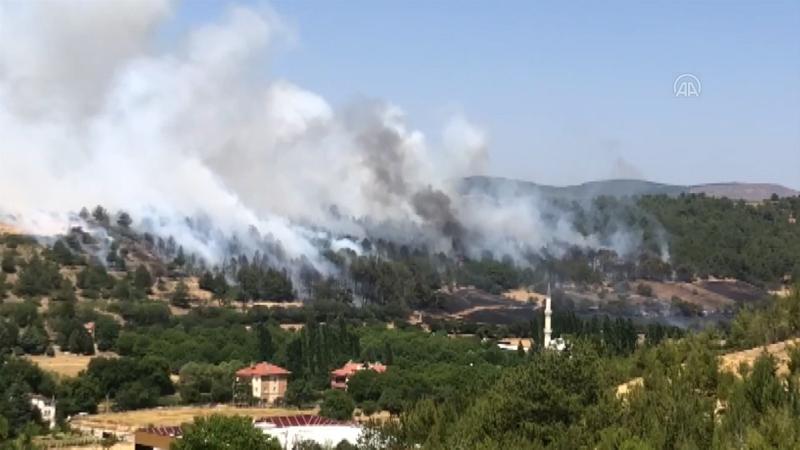 Uşak’ta Çokkozlar mevkiinde ormanlık alanda yangın