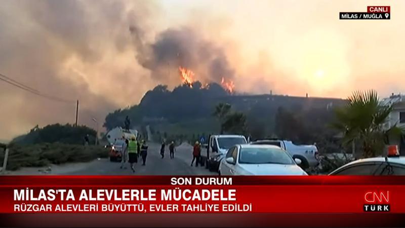 Milas'ta alevlerle mücadele