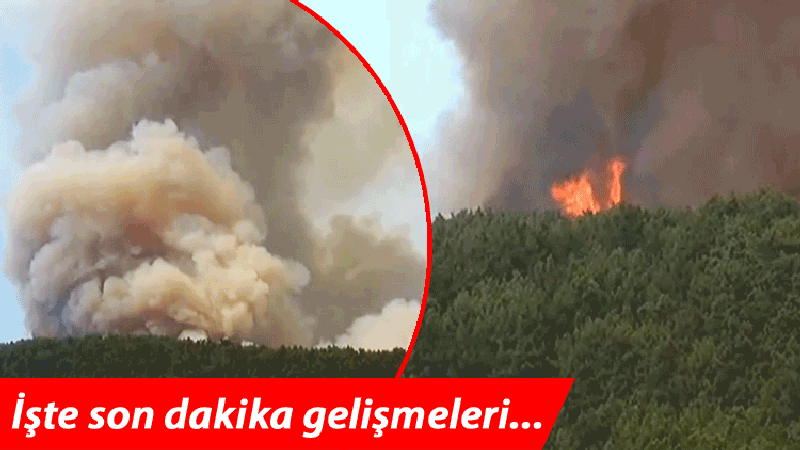 Orman yangınlarına müdahaleler sürüyor