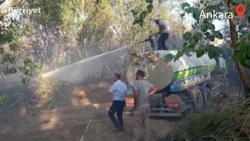 Ankara Nallıhan'da ormanlık alandaki yangın söndürüldü