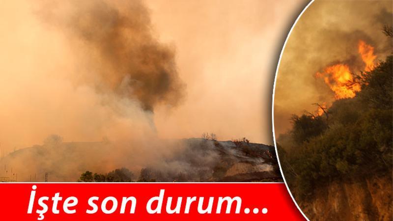 Yangın termik santral bölgesinde! Canlı yayında korkutan anlar