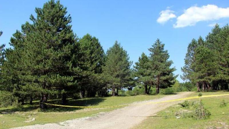 Bolu'da orman yolları şeritle kapatıldı