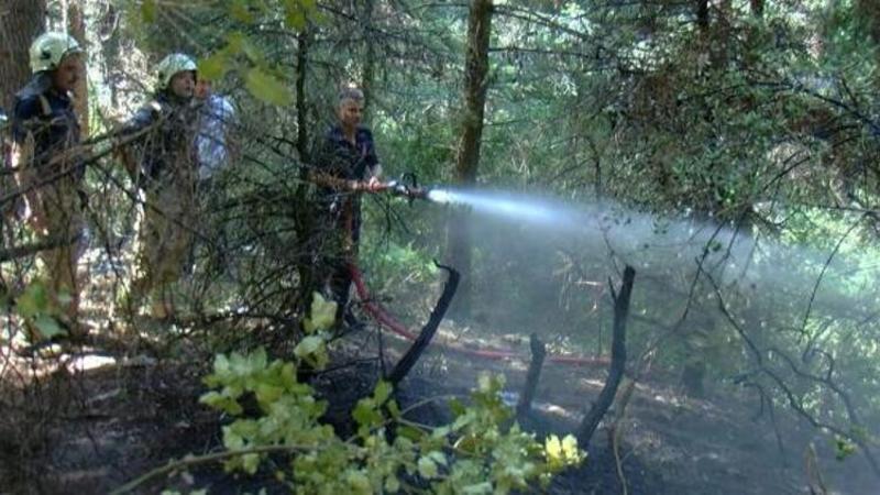 Aydos Ormanı'nda çıkan yangın büyümeden söndürüldü