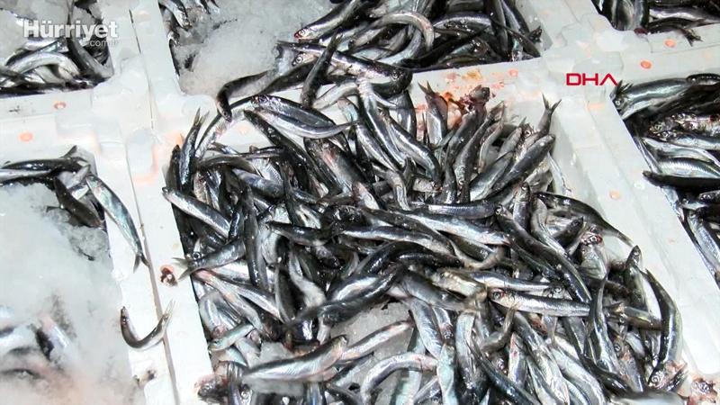 Halden restorana balık fiyatları