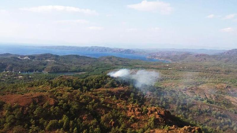 Muğla Marmaris'te çıkan orman yangını kontrol altına alındı