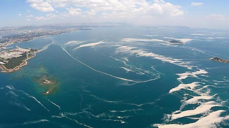 Marmara Denizi'nde yeni tehlike "oksijen azlığı"