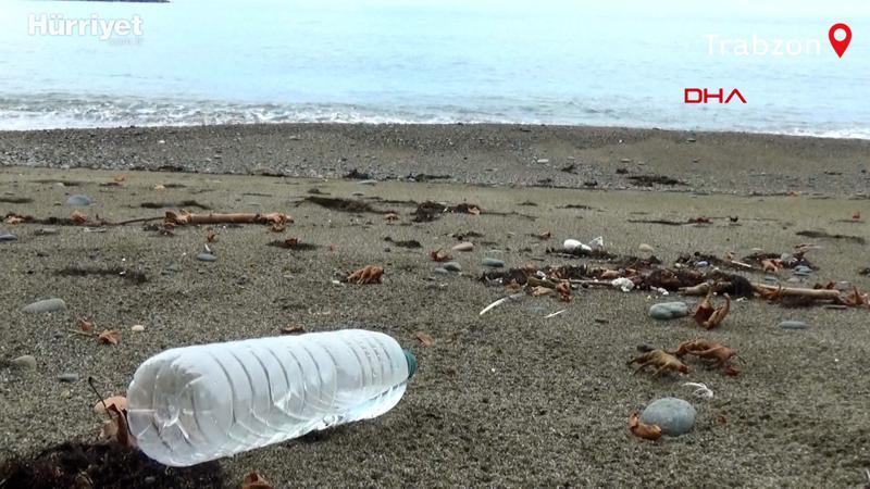 Karadeniz'de kirlilik; 500 metrekarede 2 bin 500 atık çıktı