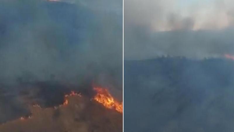 İzmir'de makilik ve otluk alanda yangın çıktı
