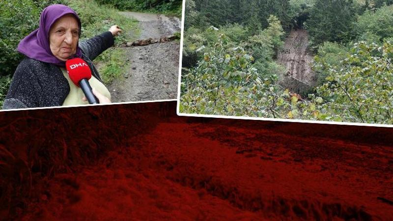 Trabzon ve Rize'de heyelan; tarım arazileri zarar gördü