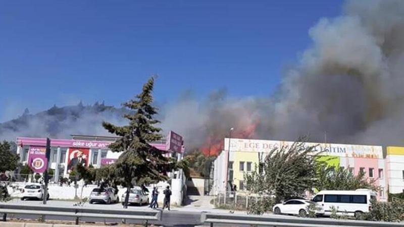 Aydın'da makilik alanda yangın! 2 okul tedbiren boşaltıldı