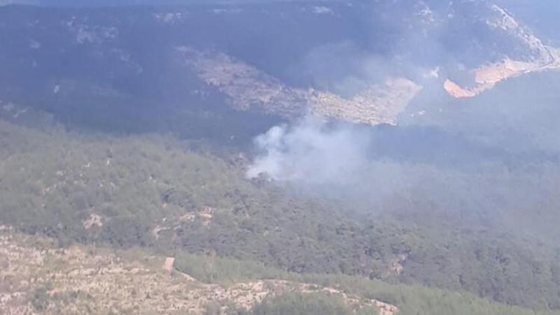 Muğla'nın Menteşe ilçesinde orman yangını