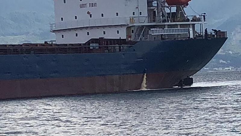 İzmit Körfezi'ni kirleten gemiye 1,8 milyon lira ceza kesildi
