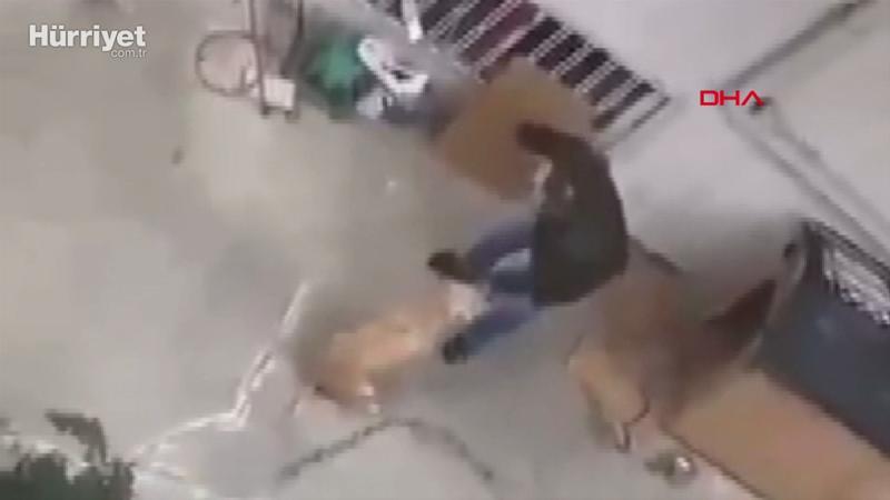 Maltepe'de köpeğine şiddet uygulayan emekli radyoloji uzmanı gözaltına alındı