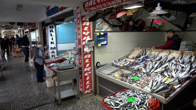 Lüfer bollaştı, fiyatlar düştü