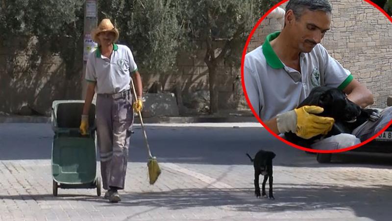 Sokak köpeği temizlik işçisinin yanından bir an olsun ayrılmıyor