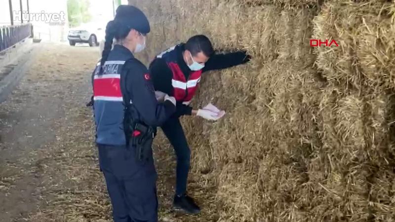 Jandarma, saman balyaları arasına saklanan para ve çekleri buldu