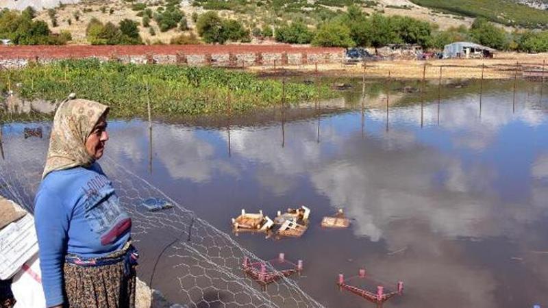 Muğla'da kuvvetli yağış etkili oldu