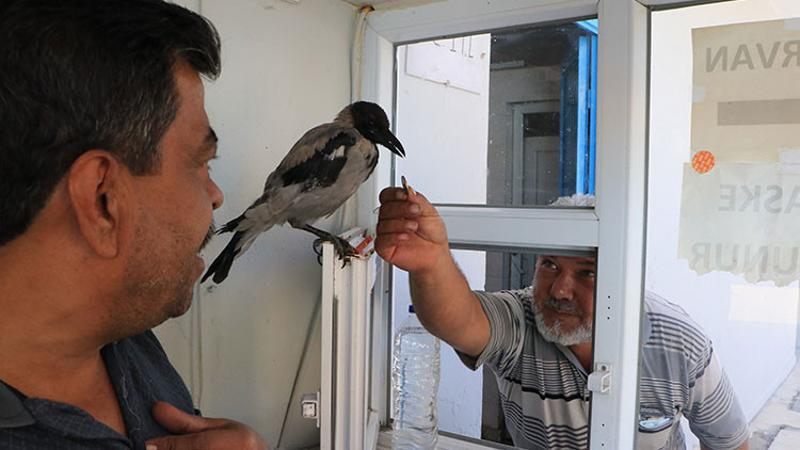 Tuvalet parasını karganın ağzına bırakıyorlar