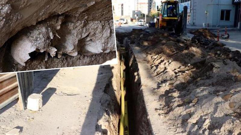 Kayseri'de kentsel dönüşüm alanında iskelet çıktı