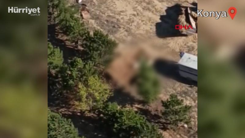 Sokak köpeklerinin uyuşturucu iğneyle vurulup gömüldüğü iddiası