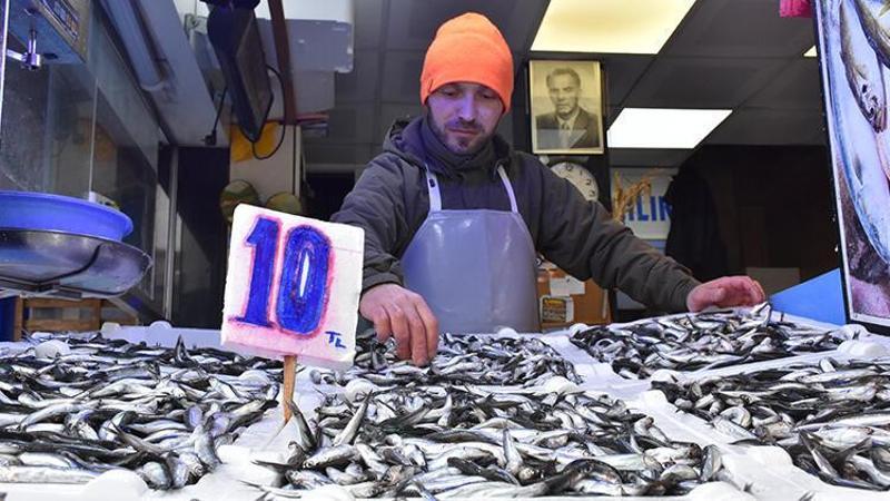 Tezgahlarda hamsi bolluğu yaşanıyor
