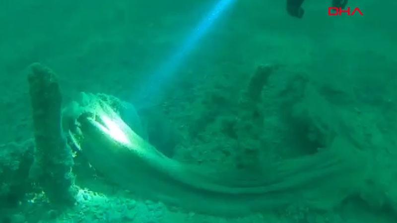 Çanakkale Boğazı'ndan 250 kilo hayalet ağ temizlendi