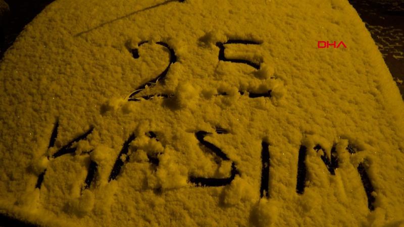 Erzurum'da kar yağışı