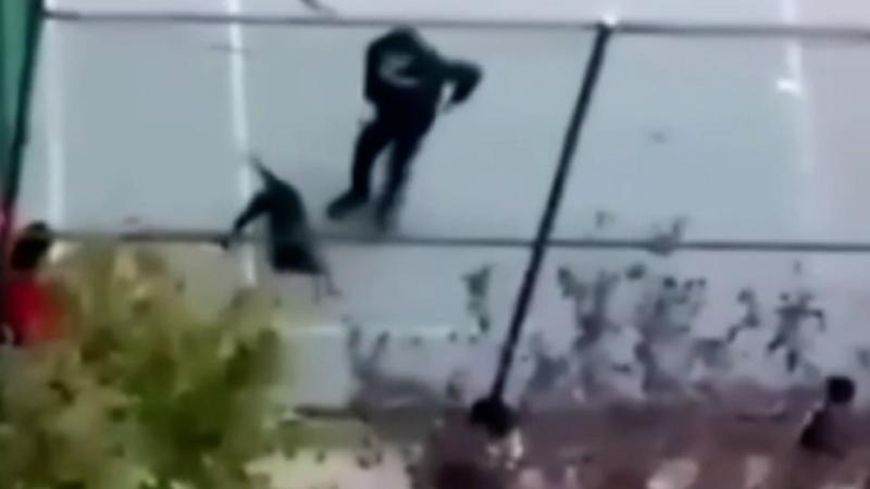 Pitbull cinsi köpeğiyle arkadaşına dehşeti yaşattı