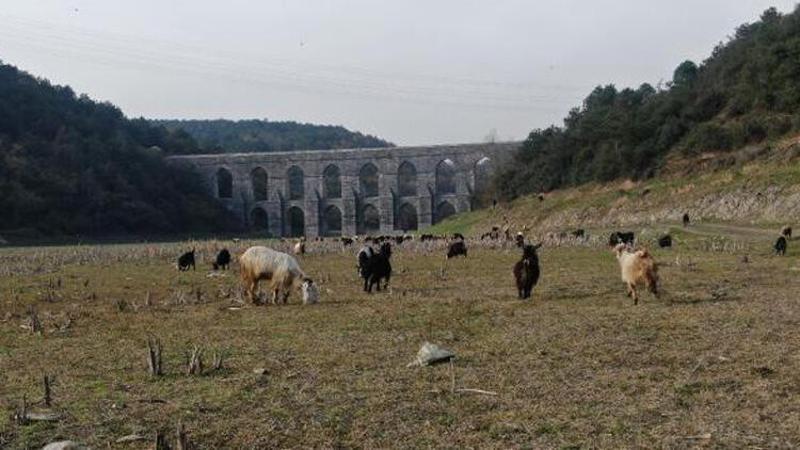 Alibeyköy barajı son 10 yılın en düşük ikinci seviyesinde