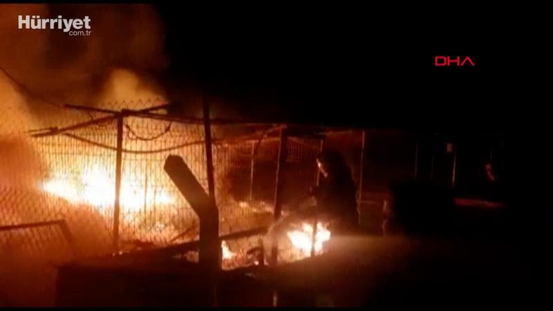 Ankara'da gönüllülerin inşa ettiği hayvan barınağında korkutan yangın