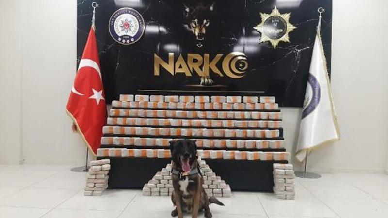 Van'da özel eğitimli köpekle yapılan operasyonda 104 kilo 250 gram eroin ele geçirildi